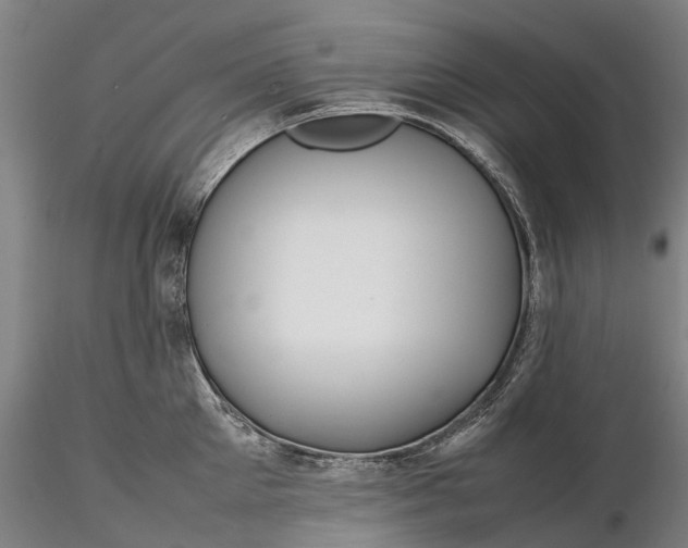 X0000116350905200912151348