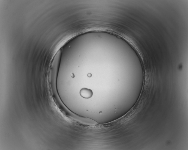 X0000116350906200912151348