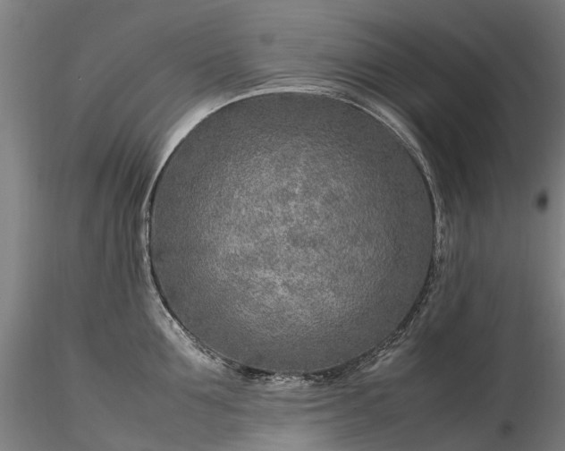 X0000116350907200912151348