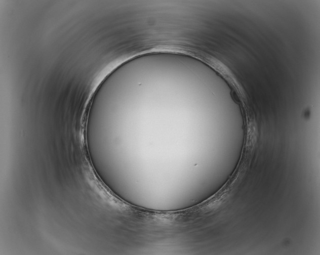 X0000116350908200912151348