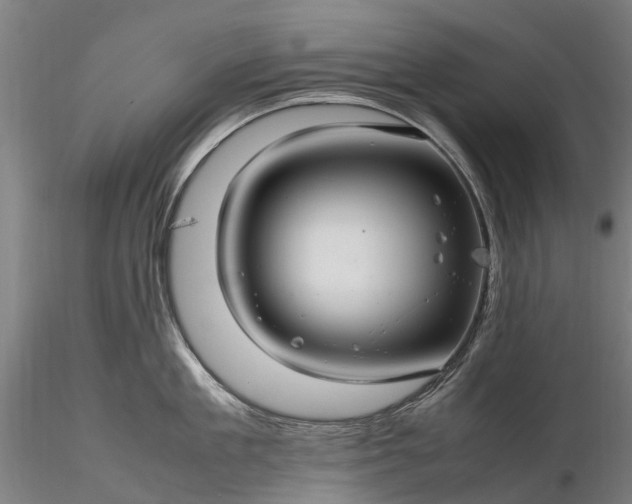 X0000116350909200912151348