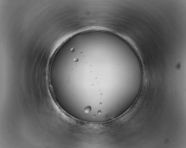 X0000116350910200912151348