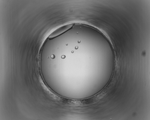 X0000116350911200912151348