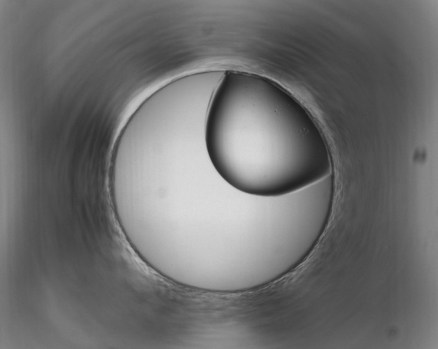 X0000116350912200912151348