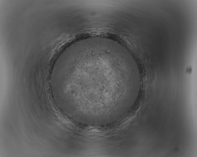 X0000116350913200912151347