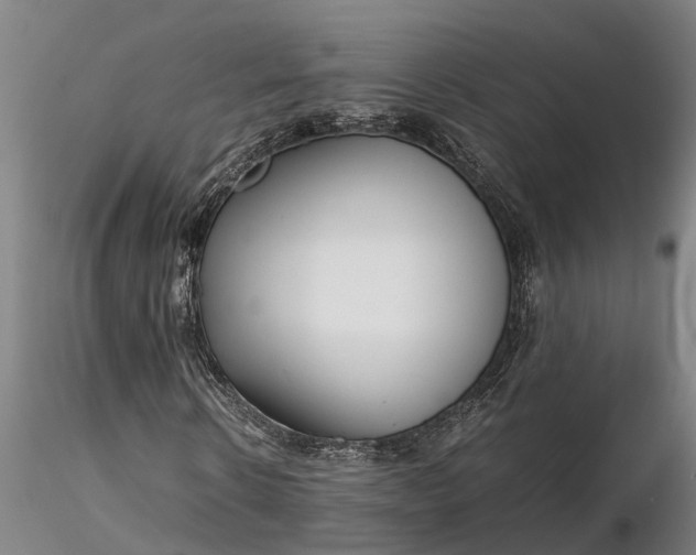 X0000116350914200912151347