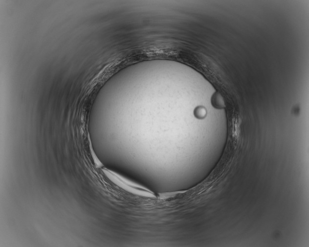 X0000116350915200912151347