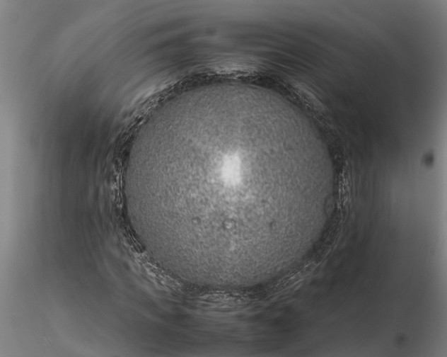 X0000116350917200912151347