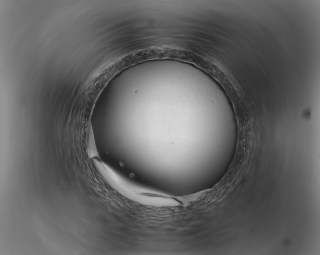 X0000116350919200912151347