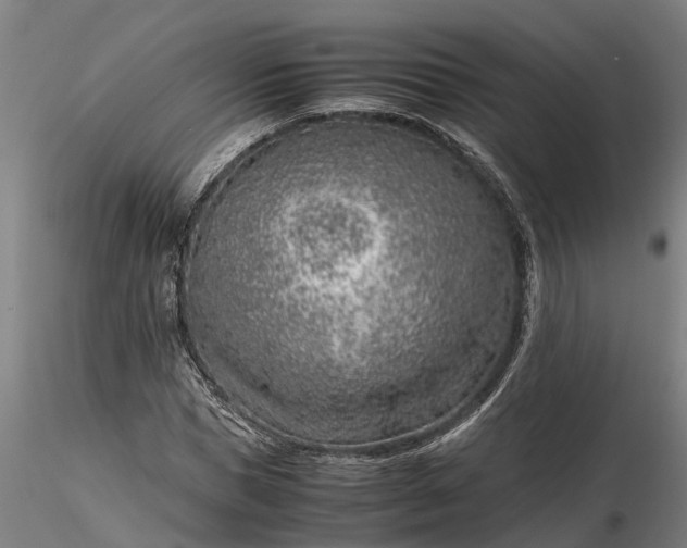 X0000116350921200912151347