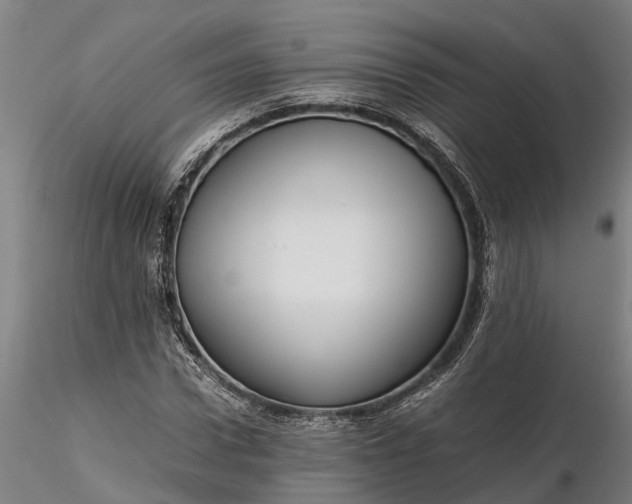 X0000116350922200912151347