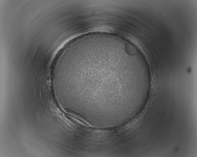 X0000116350923200912151347