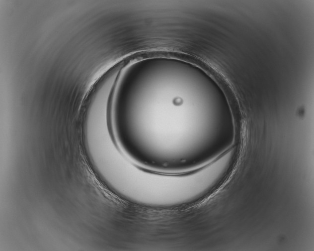 X0000116350925200912151347