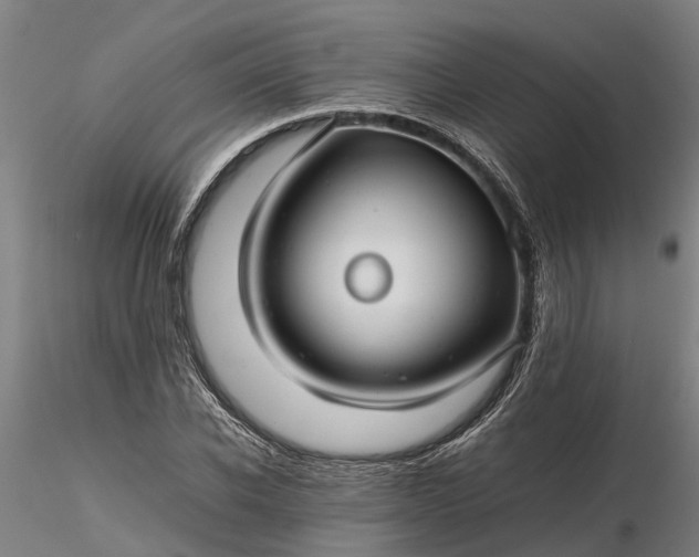 X0000116350926200912151347