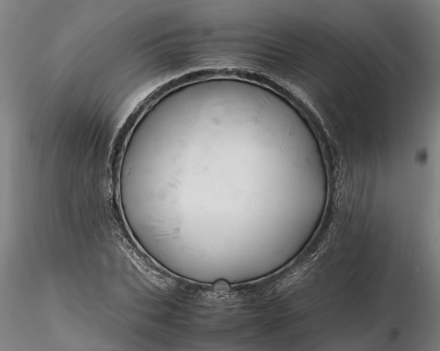 X0000116350927200912151347