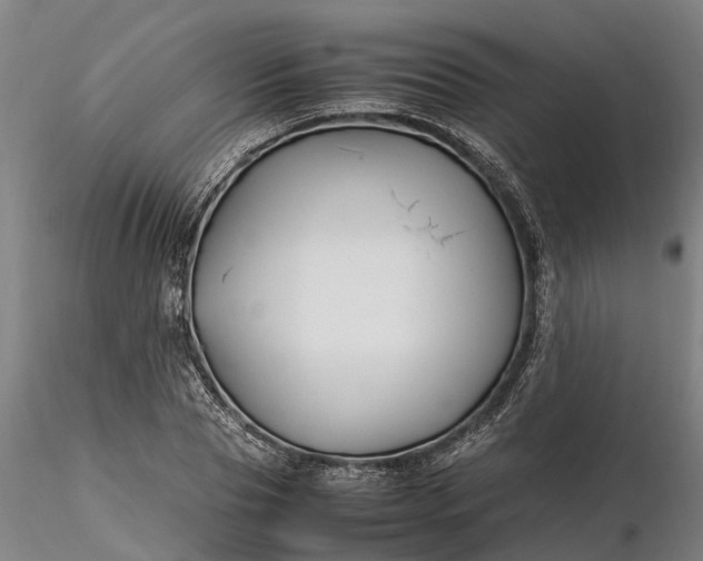 X0000116350929200912151347