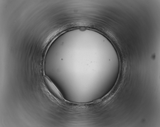 X0000116350930200912151348