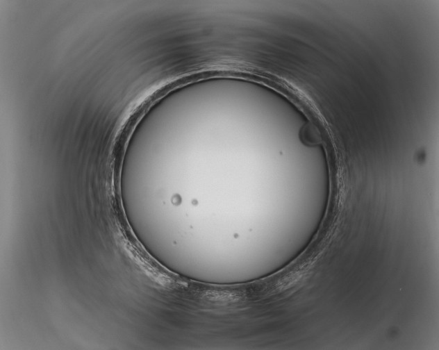 X0000116350931200912151348