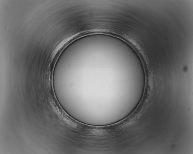 X0000116350933200912151348