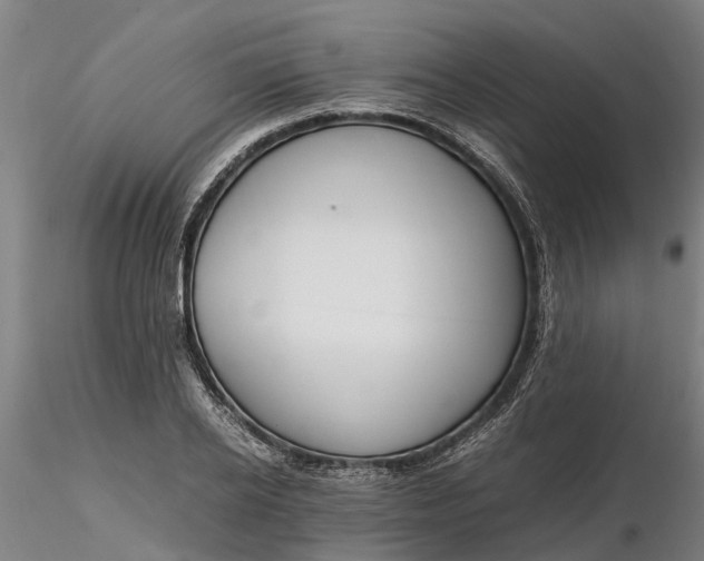 X0000116350934200912151348