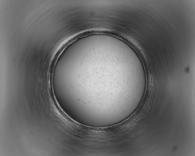 X0000116350935200912151348