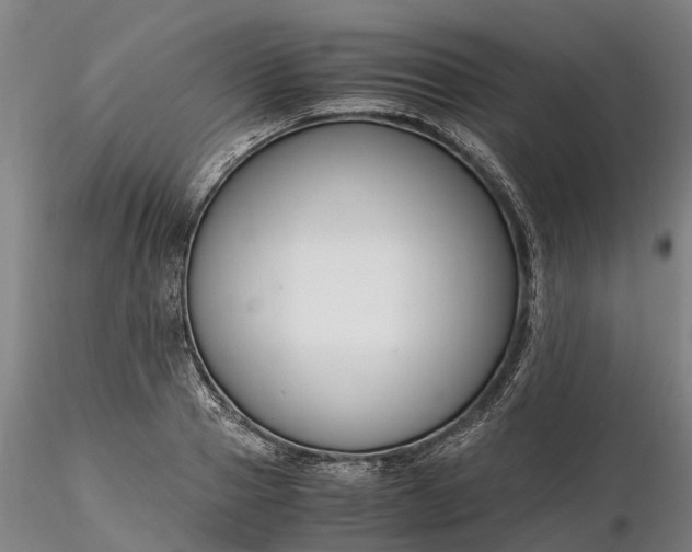 X0000116350937200912151348