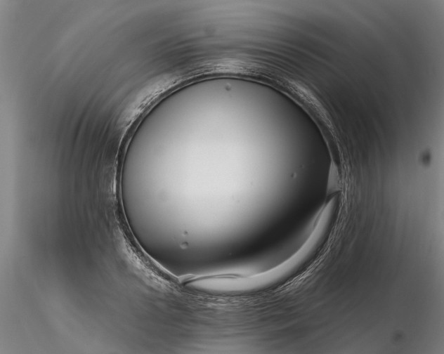 X0000116350938200912151348