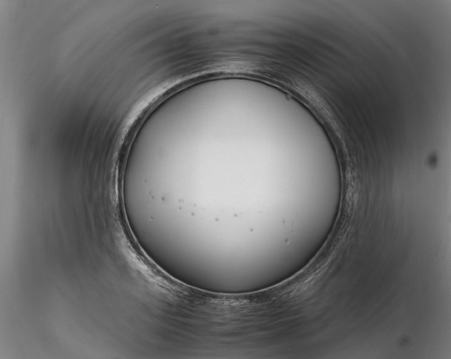 X0000116350939200912151348