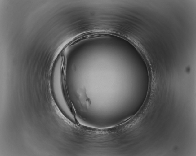 X0000116350941200912151348