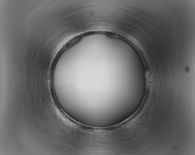 X0000116350942200912151348