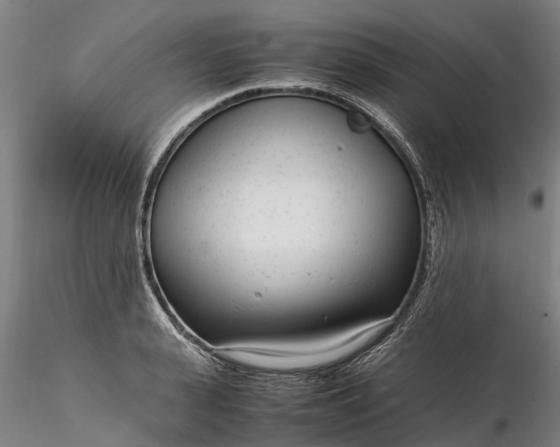 X0000116350943200912151348