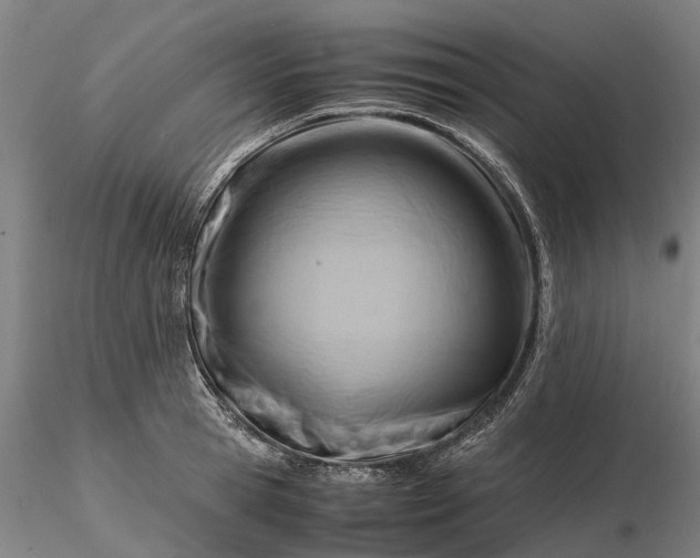 X0000116350945200912151348