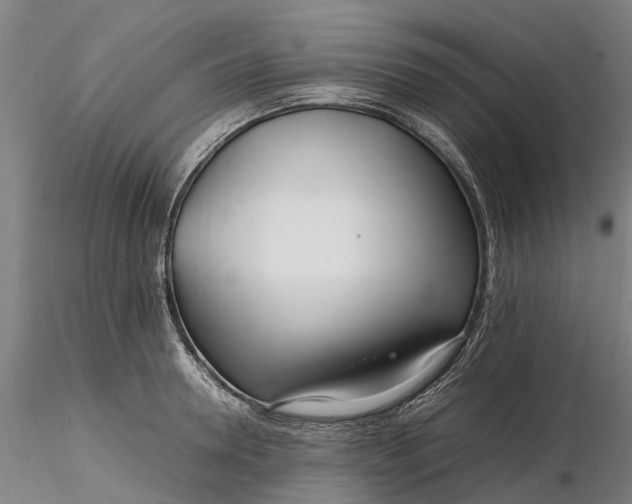 X0000116350946200912151348