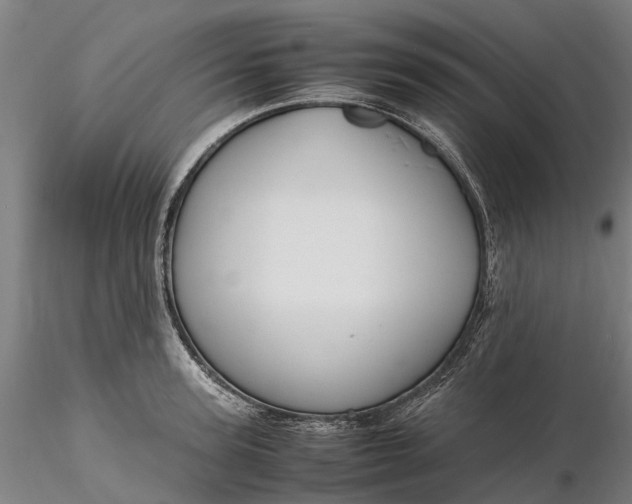 X0000116350947200912151348