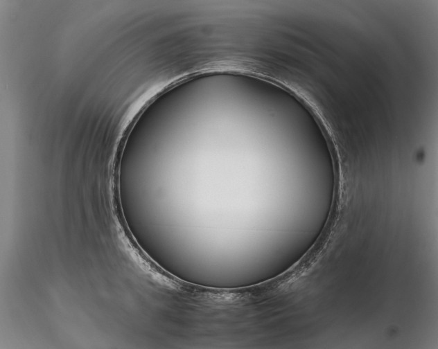 X0000116350949200912151348