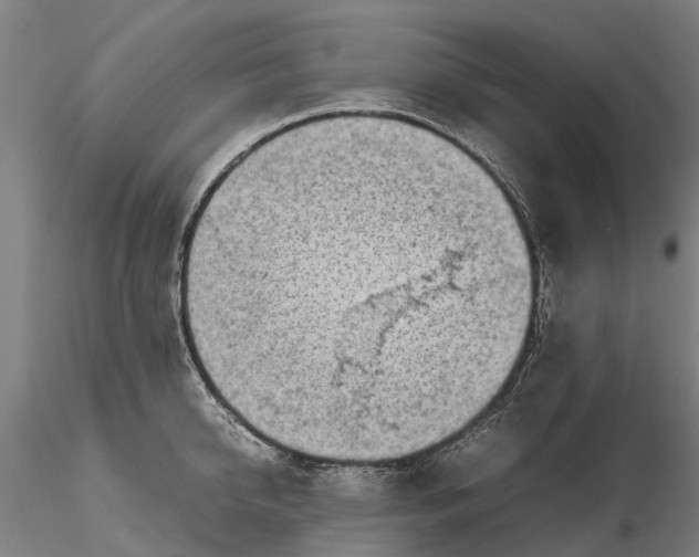 X0000116350950200912151348