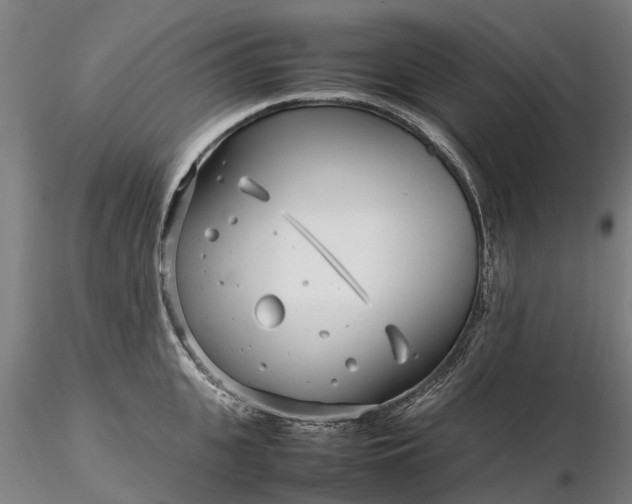 X0000116350951200912151348