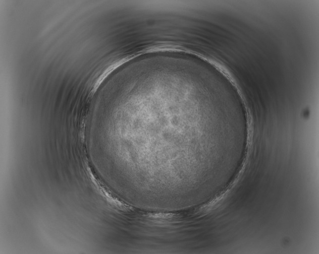 X0000116350953200912151348