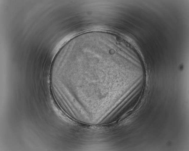 X0000116350954200912151348