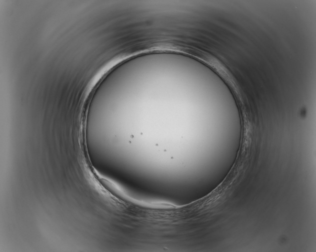 X0000116350955200912151348