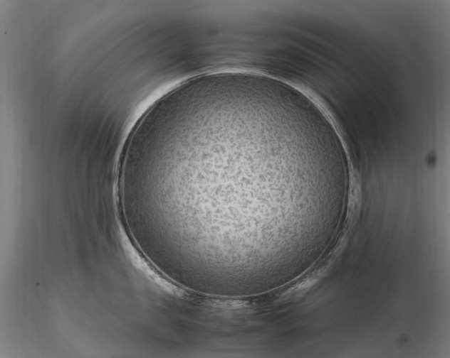 X0000116350957200912151348