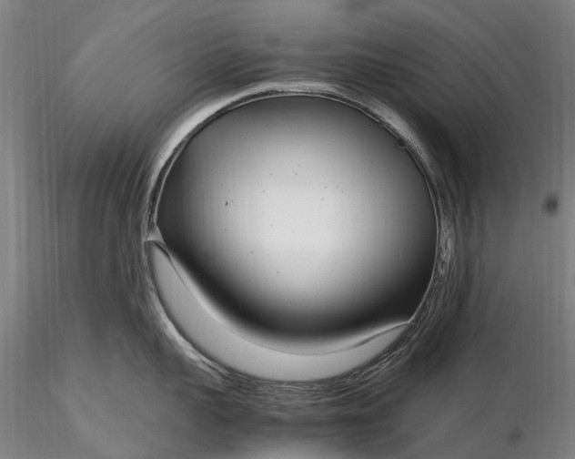 X0000116350959200912151348