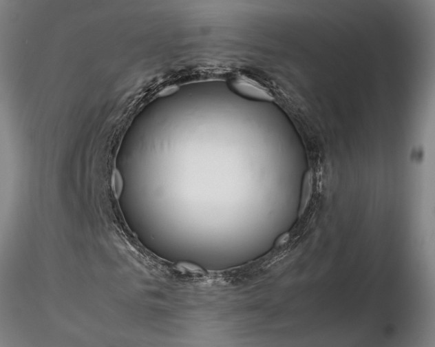 X0000116350961200912151347