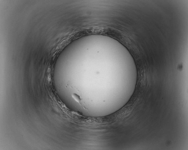 X0000116350962200912151347