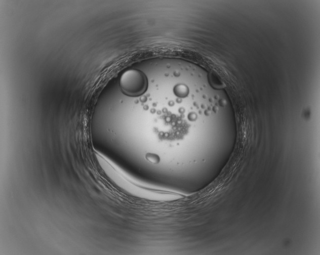 X0000116350964200912151347