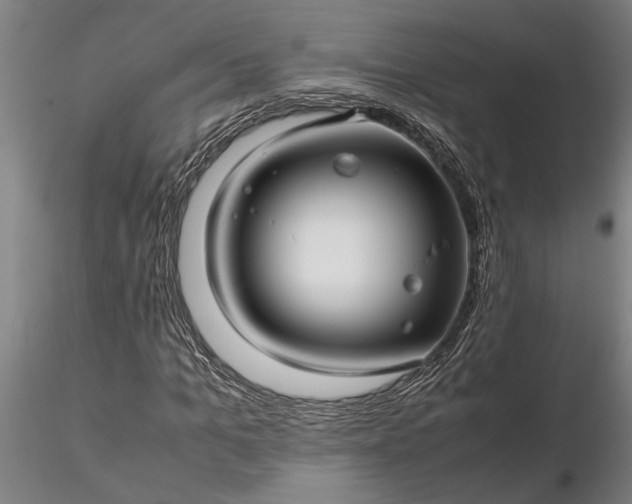 X0000116350965200912151347