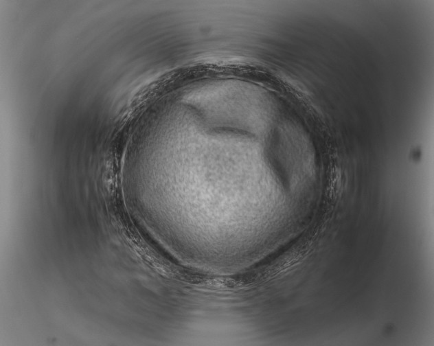 X0000116350966200912151347