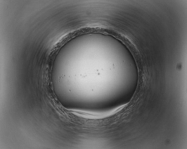 X0000116350968200912151347