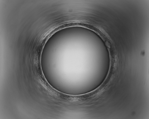 X0000116350969200912151347