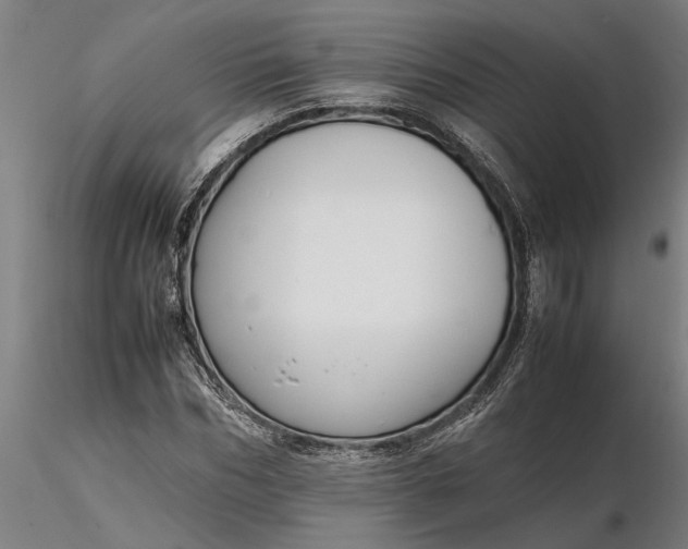 X0000116350970200912151347